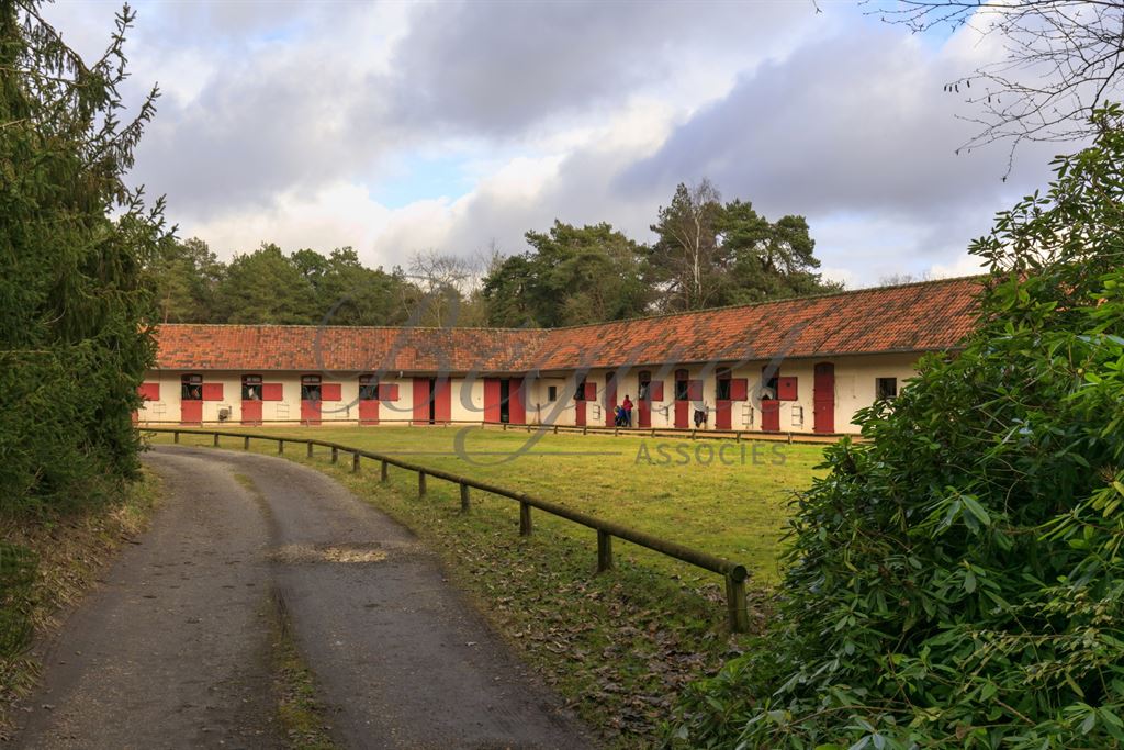 A vendre chez Beguet Associés : Poigny La Forêt 78125 Ecurie 22 Boxes Carrière Manège 1.5 Ha