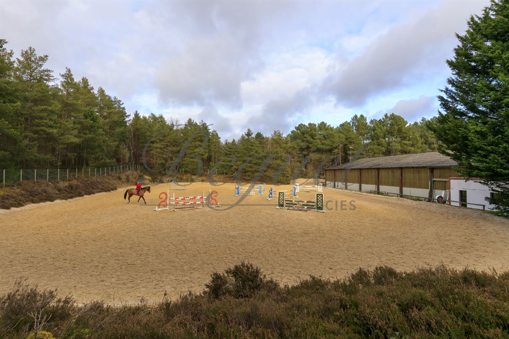 A vendre chez Beguet Associés : Poigny La Forêt 78125 Ecurie 22 Boxes Carrière Manège 1.5 Ha