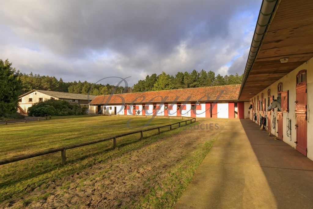 A vendre chez Beguet Associés : Poigny La Forêt 78125 Ecurie 22 Boxes Carrière Manège 1.5 Ha