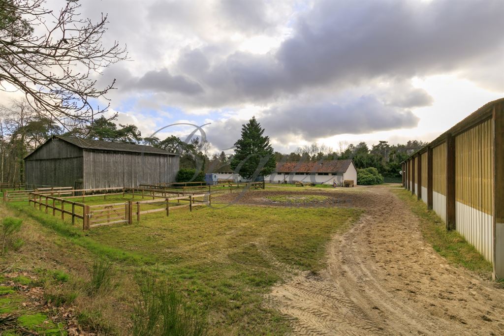 A vendre chez Beguet Associés : Poigny La Forêt 78125 Ecurie 22 Boxes Carrière Manège 1.5 Ha