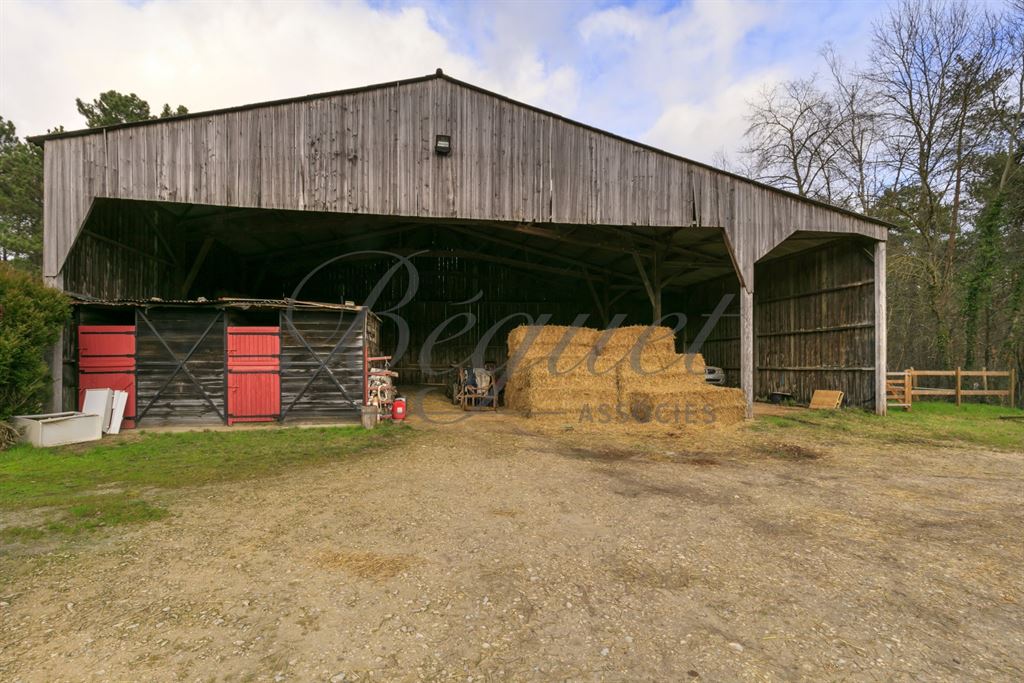 A vendre chez Beguet Associés : Poigny La Forêt 78125 Ecurie 22 Boxes Carrière Manège 1.5 Ha