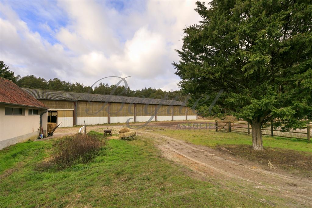 A vendre chez Beguet Associés : Poigny La Forêt 78125 Ecurie 22 Boxes Carrière Manège 1.5 Ha