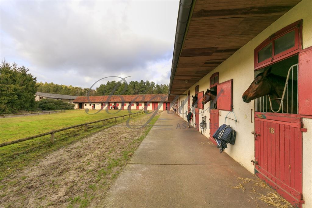 A vendre chez Beguet Associés : Poigny La Forêt 78125 Ecurie 22 Boxes Carrière Manège 1.5 Ha