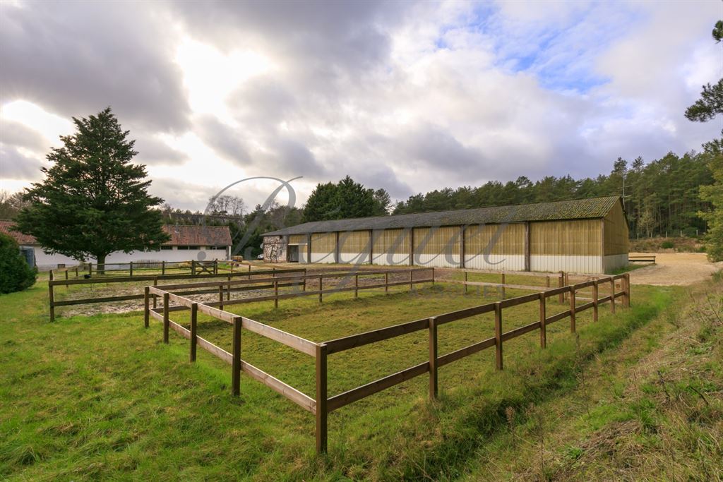 A vendre chez Beguet Associés : Poigny La Forêt 78125 Ecurie 22 Boxes Carrière Manège 1.5 Ha