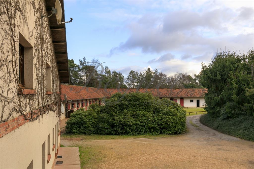 A vendre chez Beguet Associés : Poigny La Forêt 78125 Ecurie 22 Boxes Carrière Manège 1.5 Ha