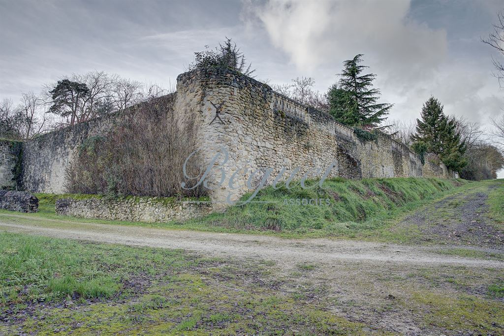 Vendu par Beguet Associés : VENDU INDRE-ET-LOIRE SUD DE TOURS  CHEILLE 37190 CHATEAU 800 M 13 CH PARC 3,5 HA