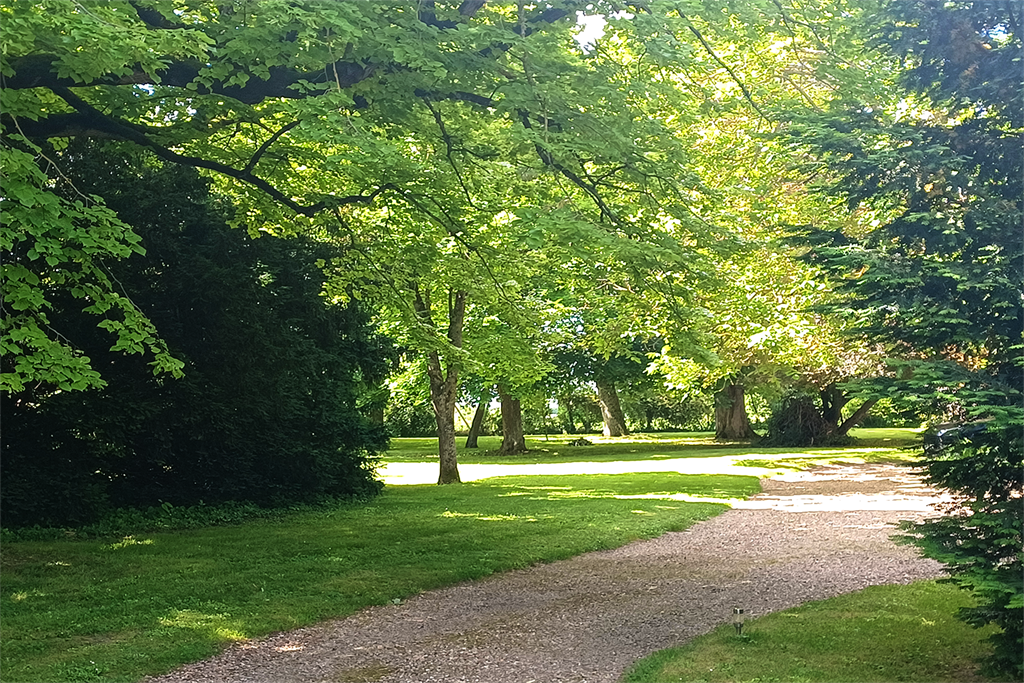 A vendre chez Beguet Associés : Indre-et-Loire Faye-la-Vineuse 37120 Manoir 370 m² 10 Chambres Gîte 160m² Parc 4.7 Ha