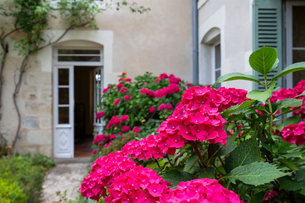 Vendu par Beguet Associés : INDRE ET LOIRE-TOURAINE-CHATEAU LA VALLIERE 37330- MAISON 325 M 6 CHAMBRES PISCINE DÉPENDANCES