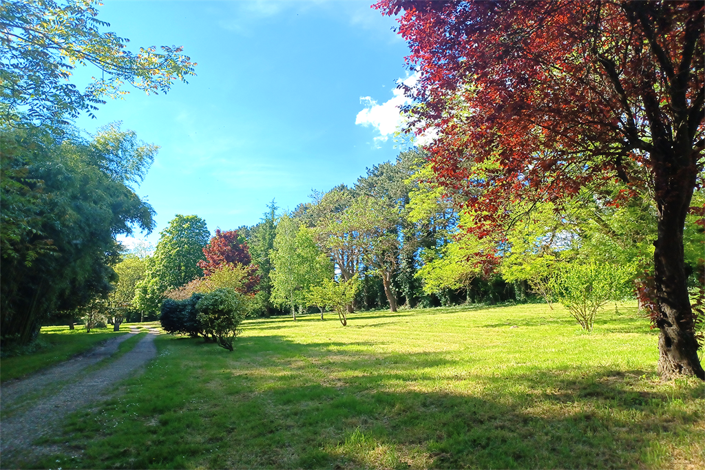 A vendre chez Beguet Associés : Indre-et-Loire Cravant-les-Coteaux 37500 Manoir 260 m² Parc 10 ha vignes Gites 200 m² Piscine Paddoc