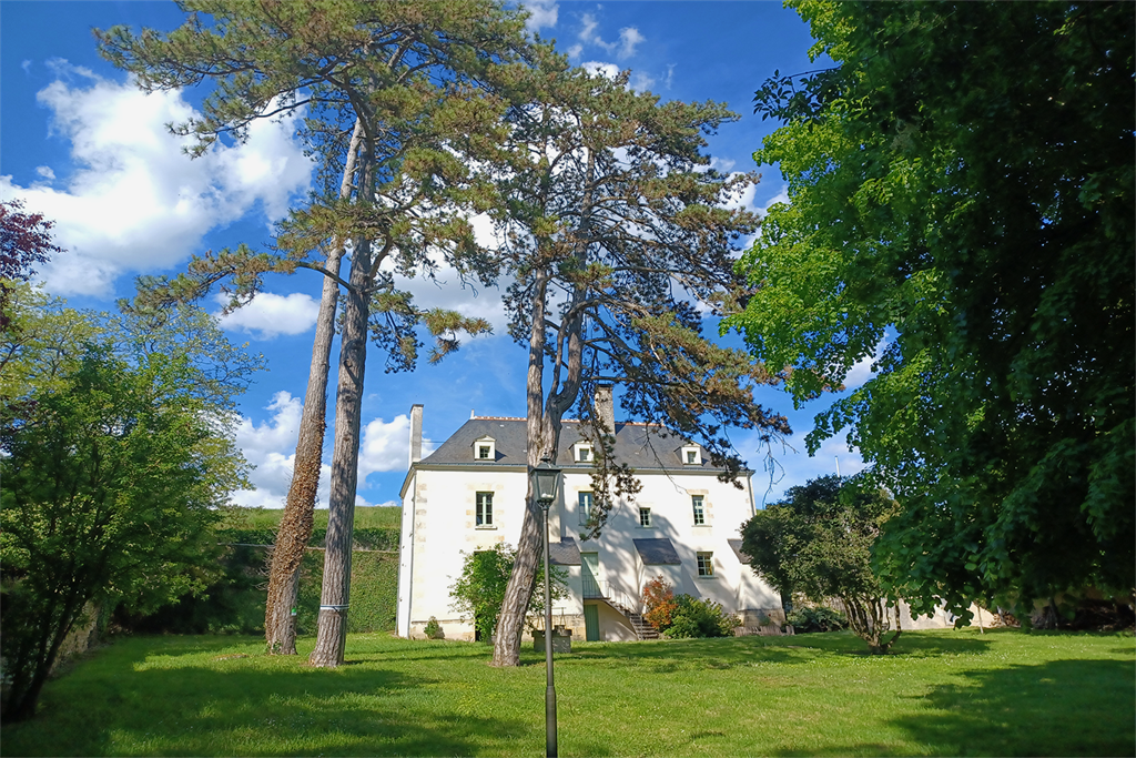 A vendre chez Beguet Associés : Indre-et-Loire Cravant-les-Coteaux 37500 Manoir 260 m² Parc 10 ha vignes Gites 200 m² Piscine Paddoc