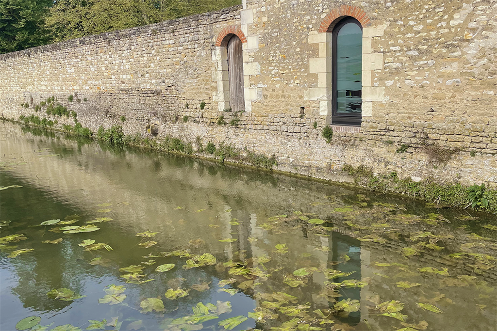 A vendre chez Beguet Associés : INDRE- ET- LOIRE RICHELIEU 37120 CENTRE VILLE 345m² TERRASSE