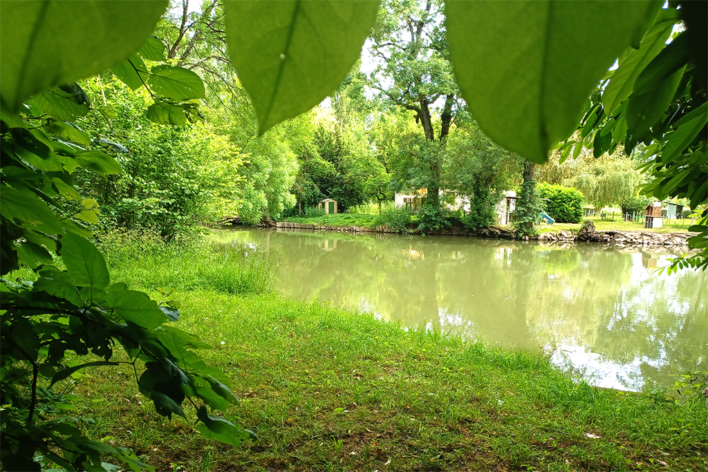 A vendre chez Beguet Associés : FRANCE LOIRE VALLEY INDRE-ET-LOIRE MONTBAZON 37250 MAISON 137 m² 3 CHAMBRES JARDIN 800 m² PISCINE