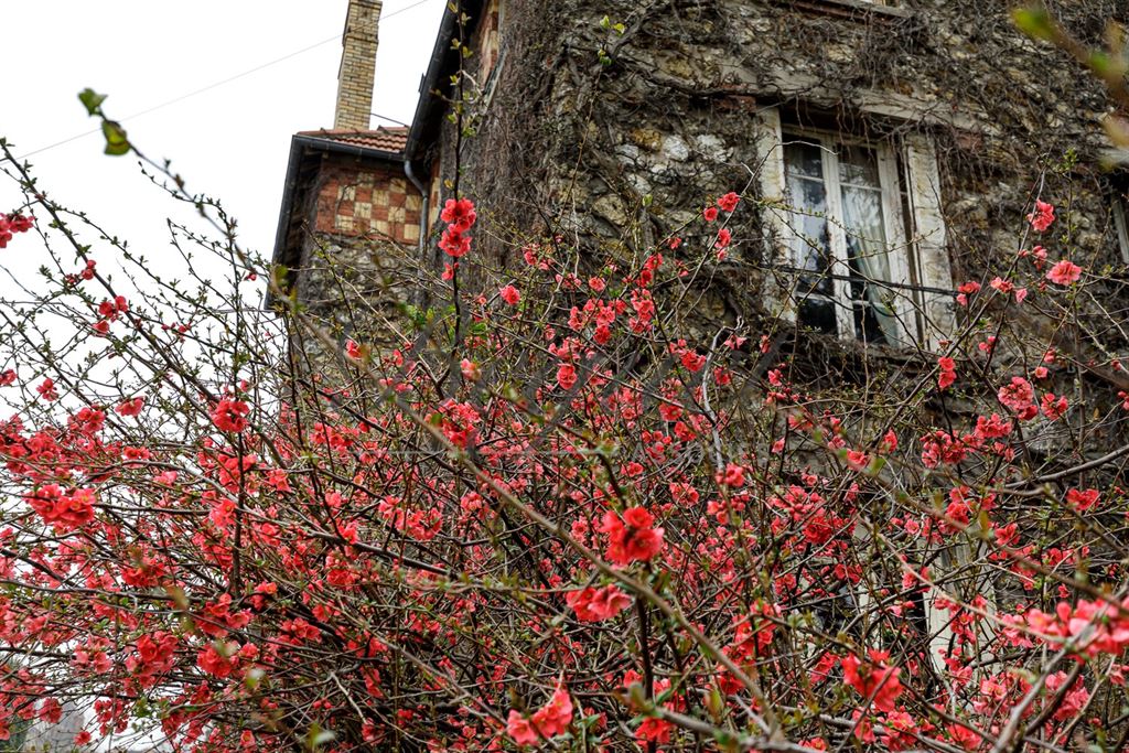 A vendre chez Beguet Associés : Hauts de Seine - Bourg La Reine 92340 Maison 212 m² 6 Chambres